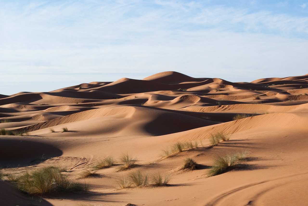 How to Capture the Beauty of Desert Landscapes